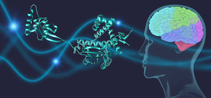 THE ROLE OF THE MICROBIOME IN PARKINSON'S DISEASE