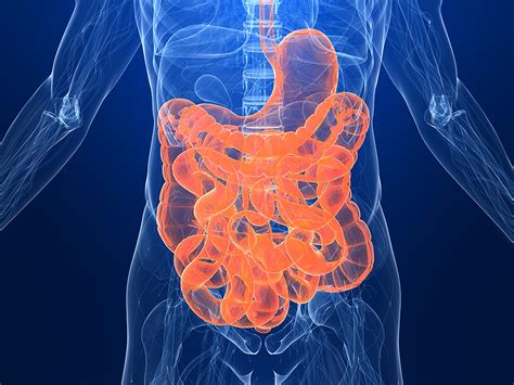 Dysbiosis in Pathogenesis of Inflammatory Bowel Disease and Ankylosing Spondylitis