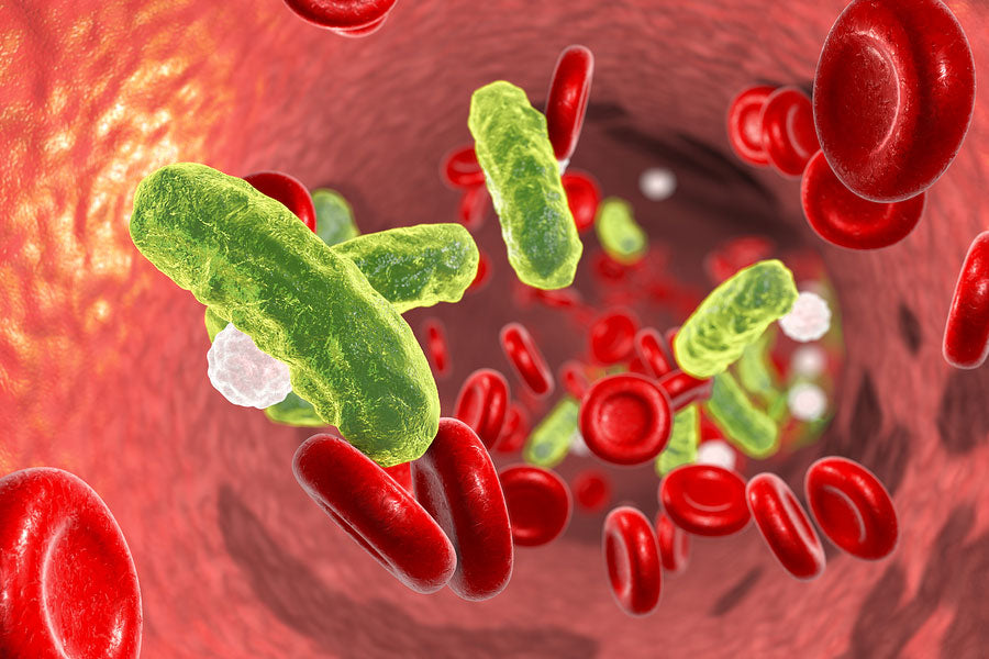 WHAT IS METABOLIC ENDOTOXEMIA?